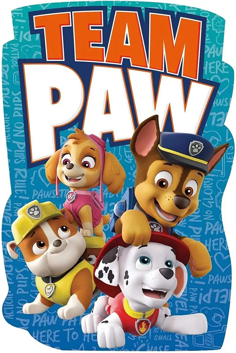Nickelodeon Badhanddoek Paw Patrol Junior 120 X 80 Cm Polyester