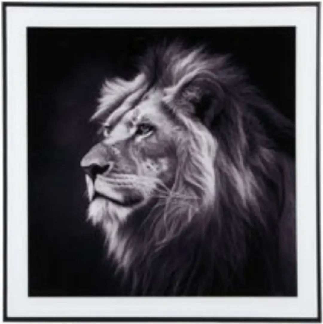 Present Time Wanddecoratie Lion