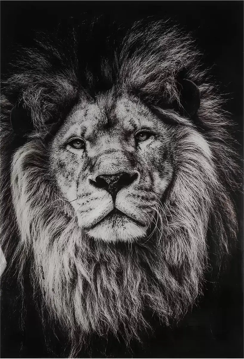 Schilderij Sarabi glas zwart 120cm
