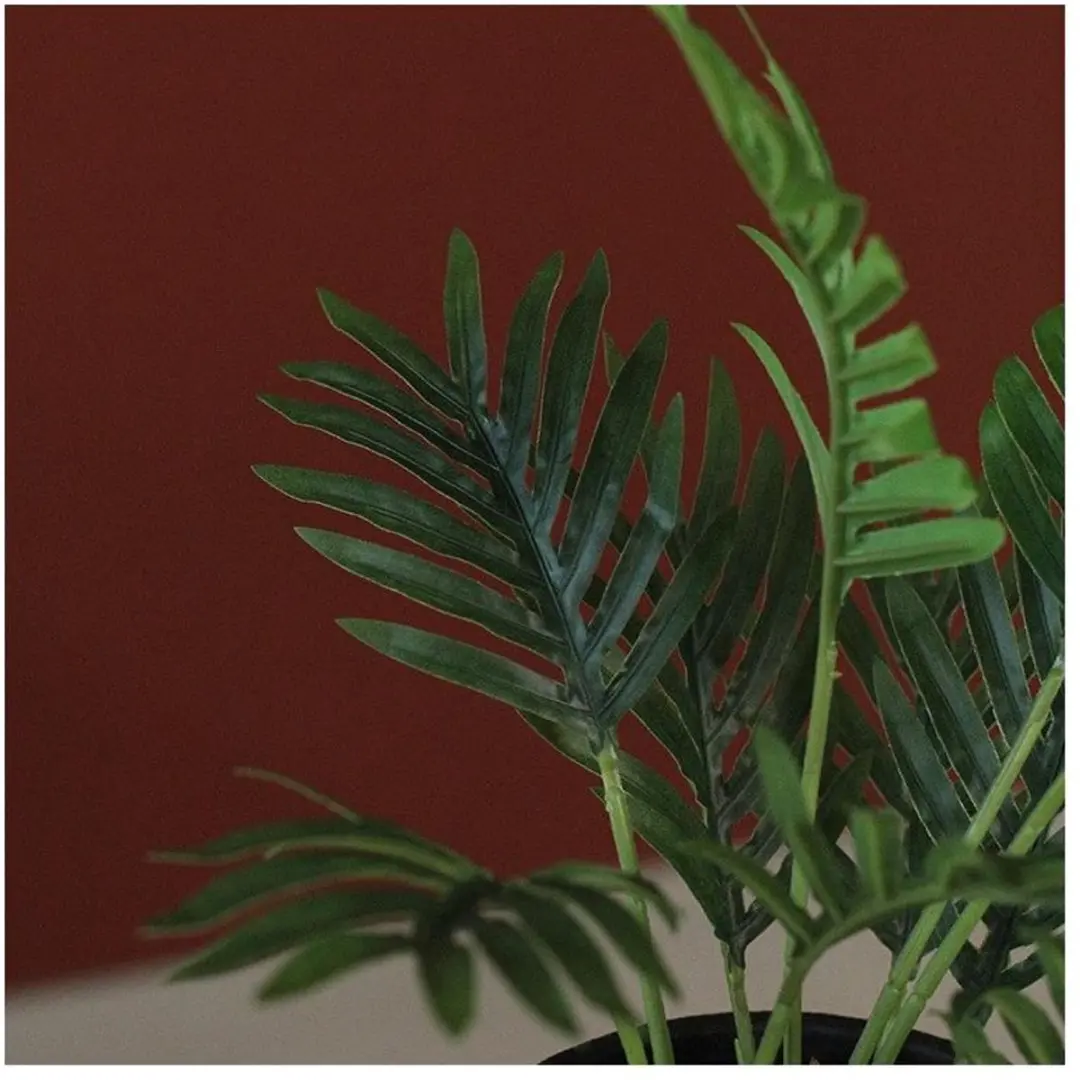 Countryfield Areca Kunstplant - 23xH30cm - afbeelding 2 van 3