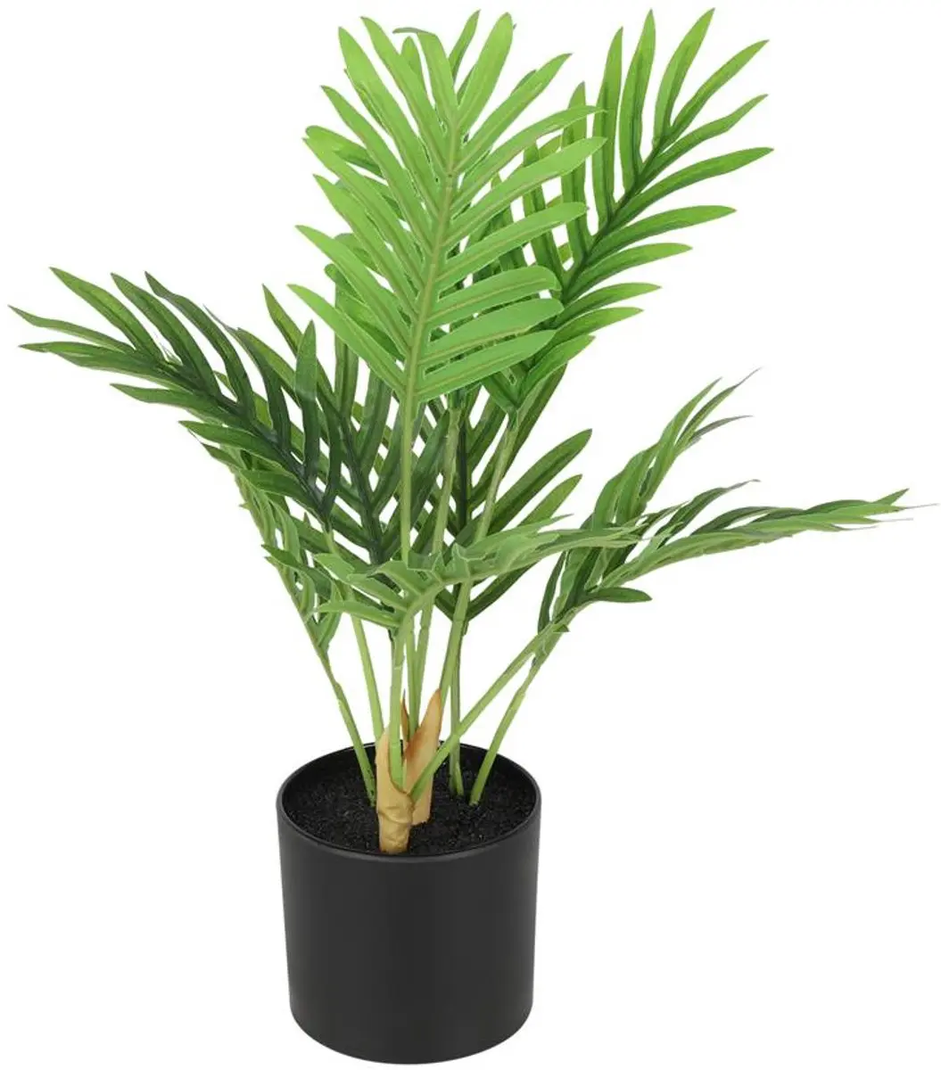 Countryfield Areca Kunstplant - 23xH30cm - afbeelding 3 van 3