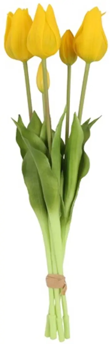 Countryfield Kunst tulpen boeket Greigii