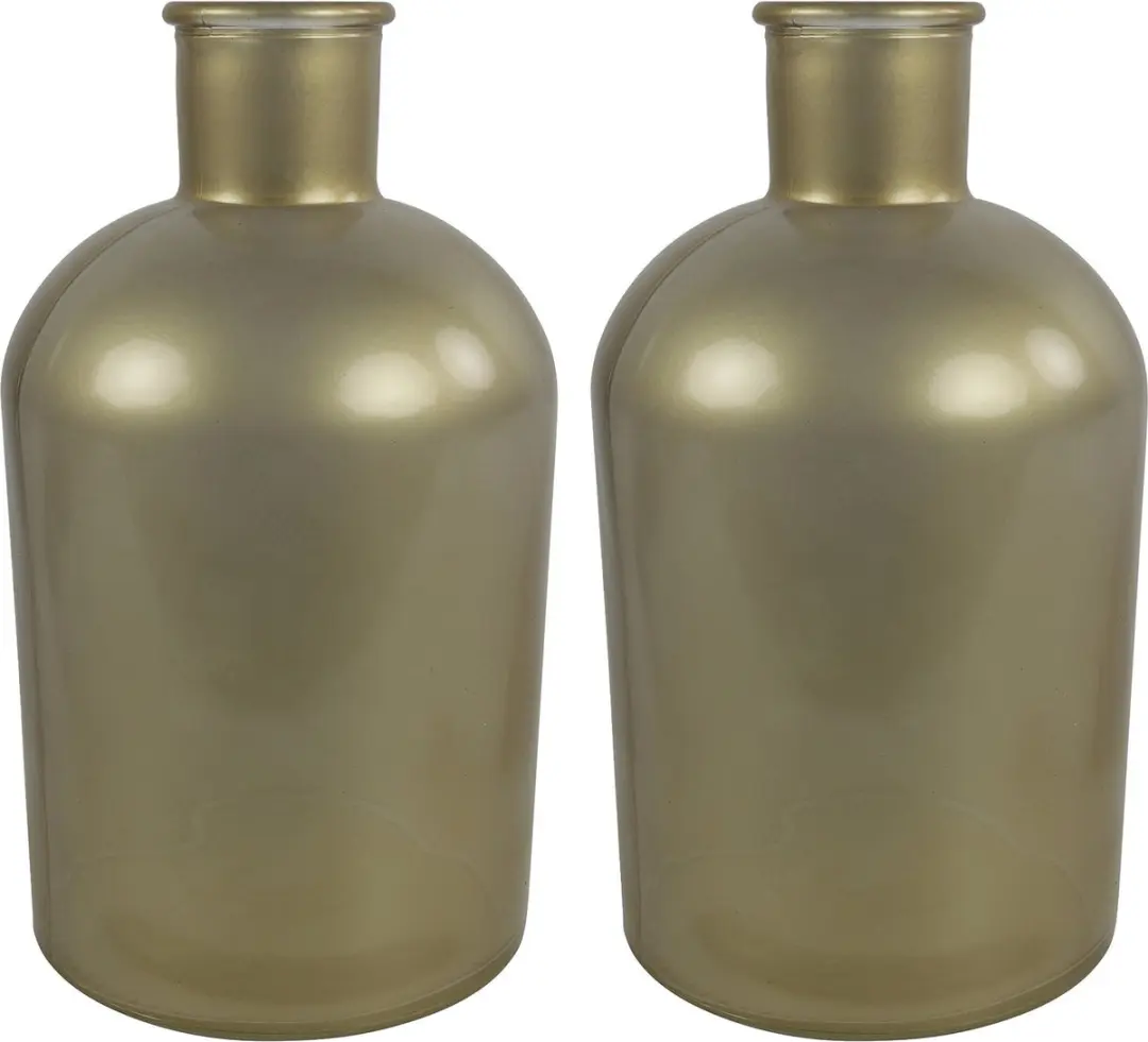 Countryfield bloemen/takken Vaas - 2x Stuks - mat goud glas - fles - D17 x H31 cm