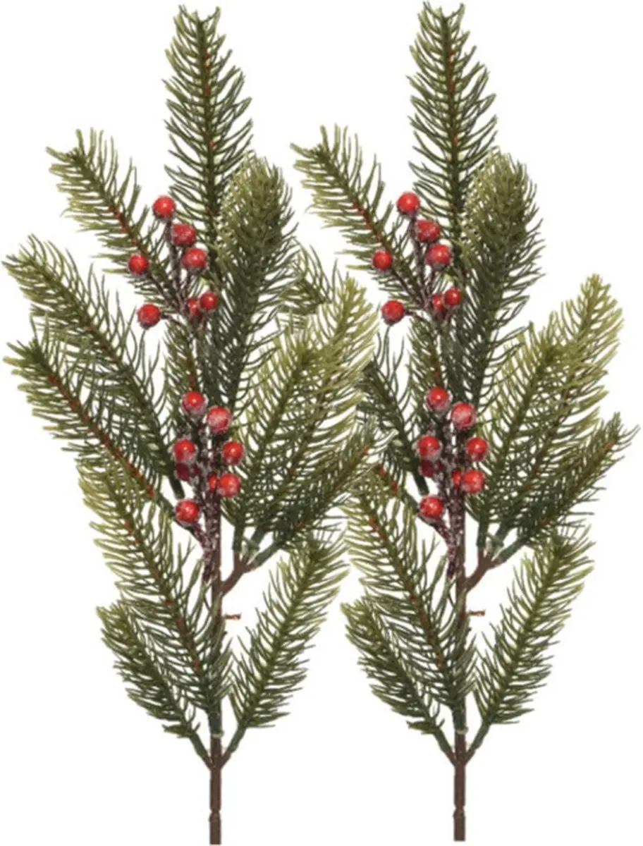 Decoris Kersttakken/dennentakken