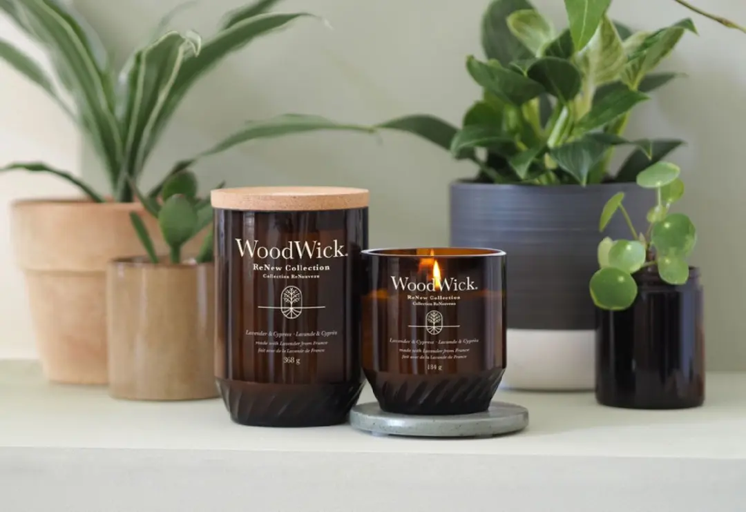 WoodWick ReNew Geurkaars Lavender & Cypress Medium - 55 uur - afbeelding 2 van 4
