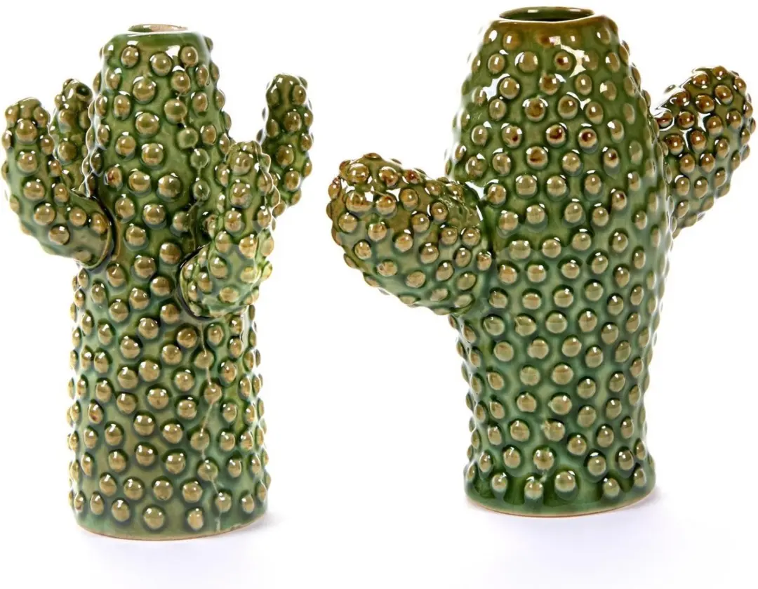 Cactus Vaas Serax mini