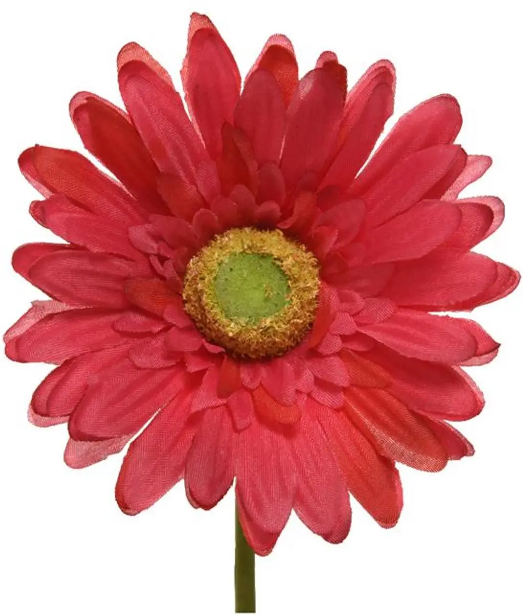 Decoris Zijden Gerbera op Steel Fuchsia 50cm