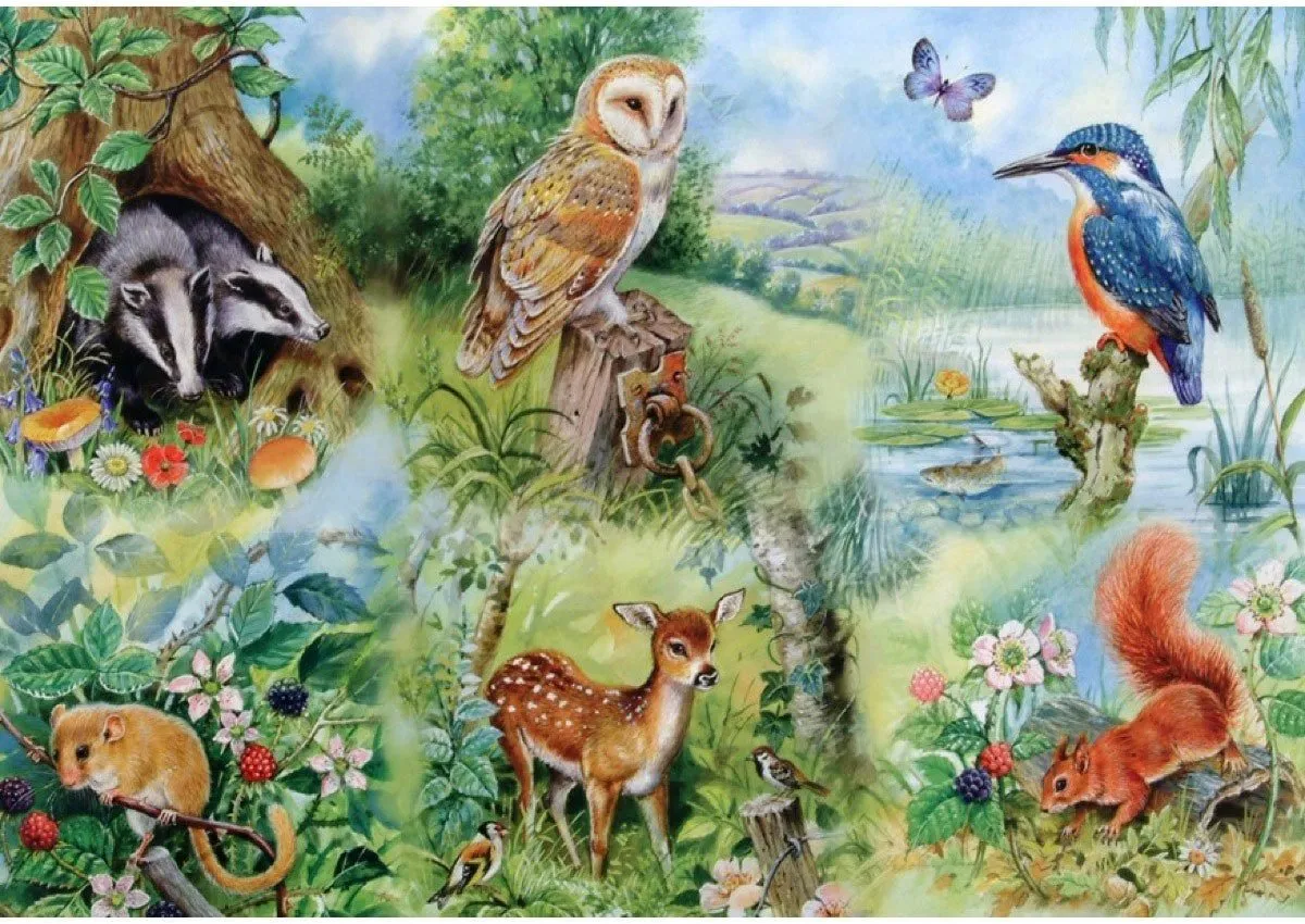 House of Puzzles Meadow Nature Study 250 Stuks HP0144 - Multicolor