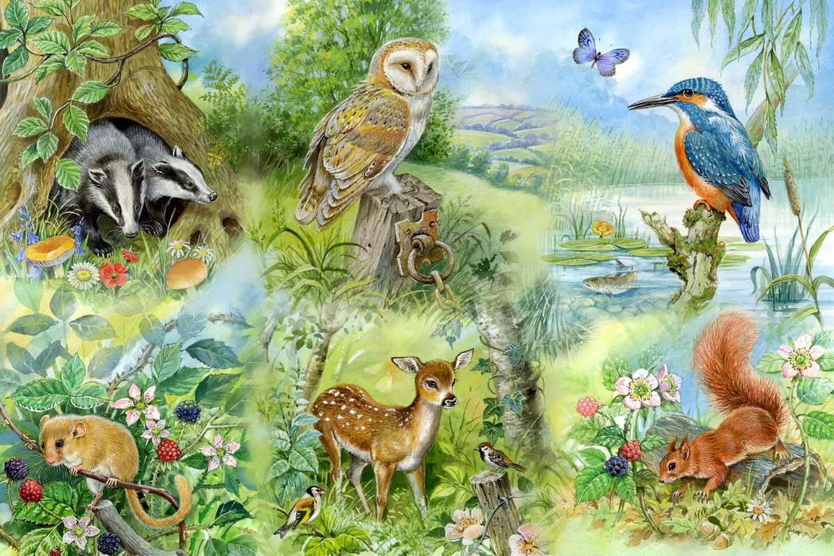 House of Puzzles Meadow Nature Study 250 Stuks HP0144