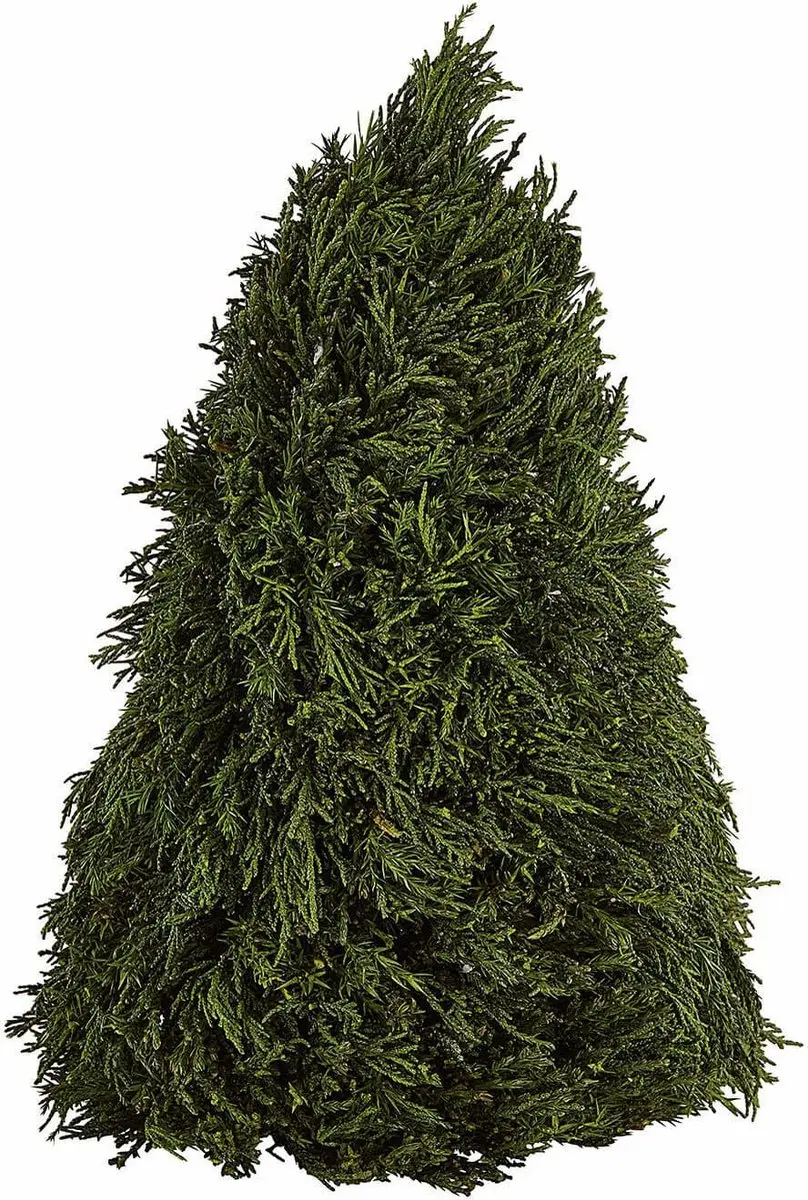 Loberon Moran Sierboom