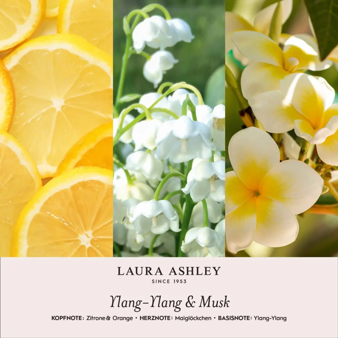 Laura Ashley Geurhanger Ylang-Ylang & Muskus - 10ml - Wit - afbeelding 2 van 2