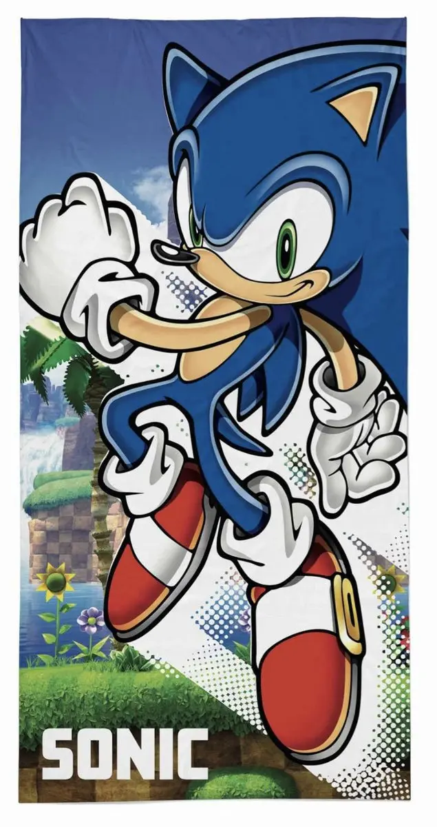 Sonic Strandlaken Comic