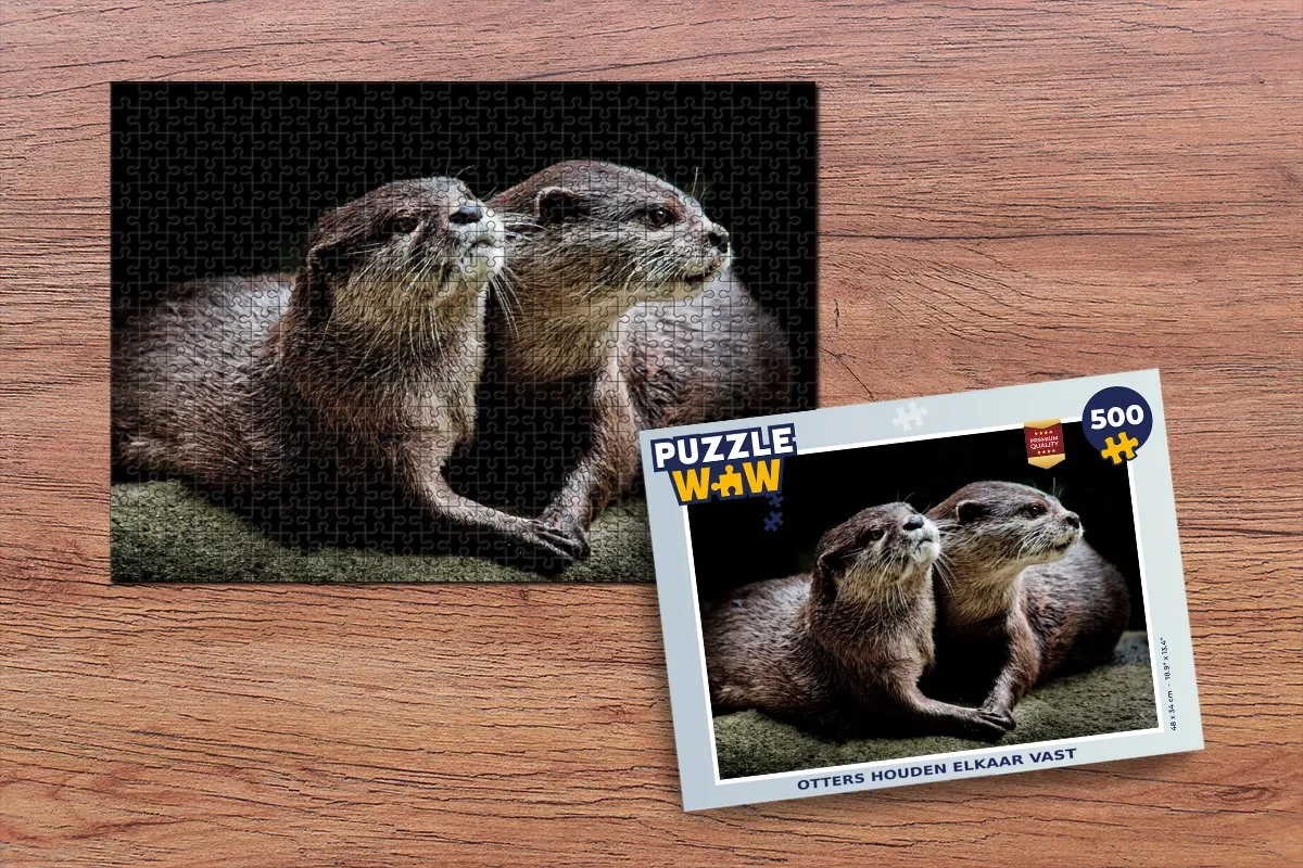 PuzzleWow Legpuzzel 500 Stuks Multicolor