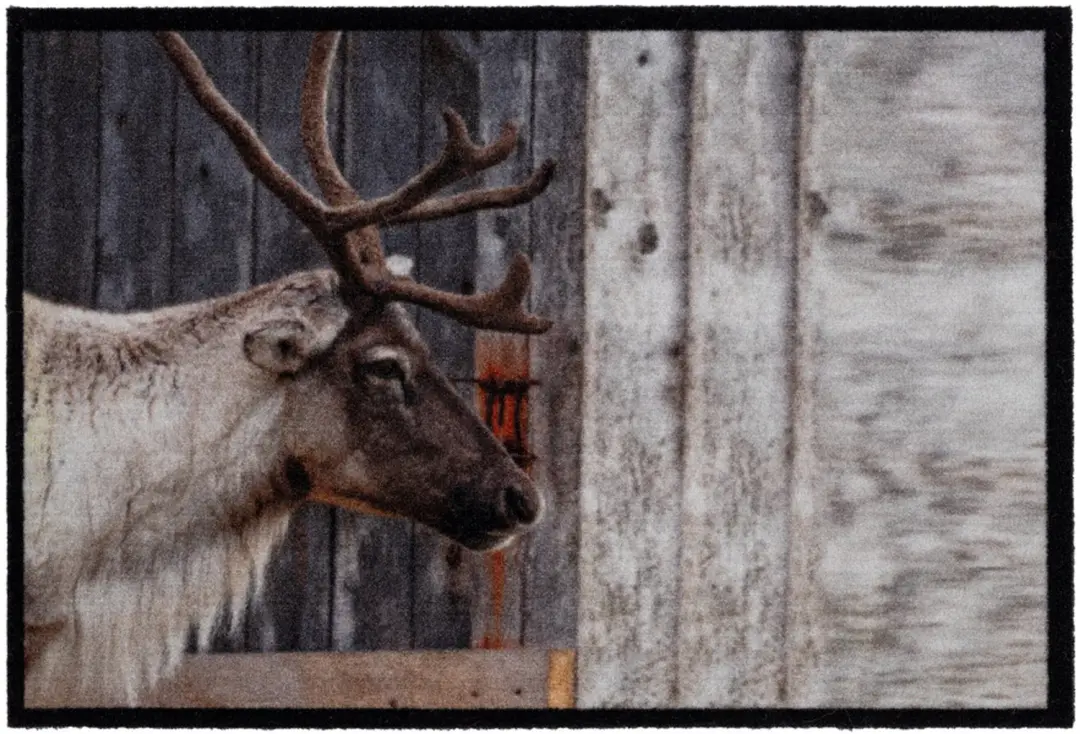 Hamat Mondial Wild Deer 50 x 75 cm