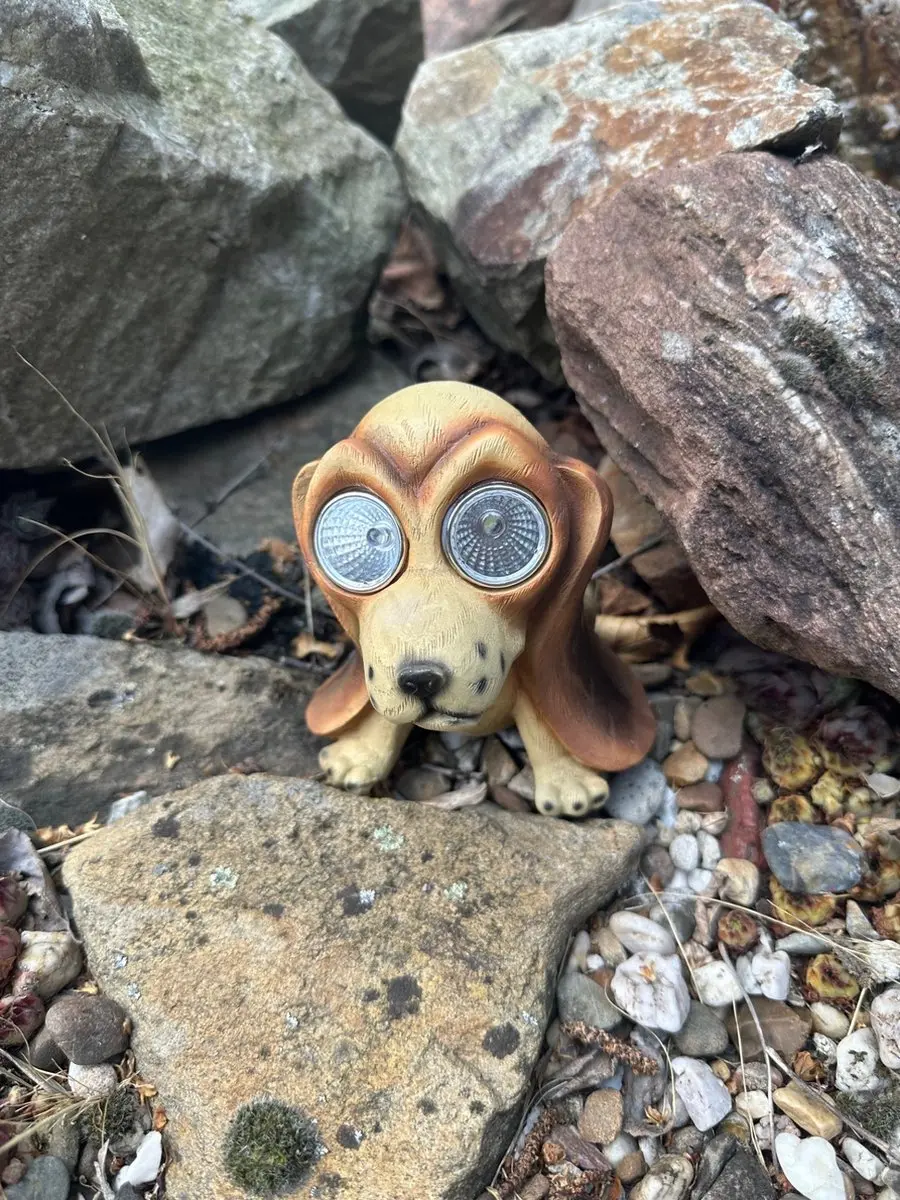 Polyresin solarlamp "zittende hond met groot hoofd"