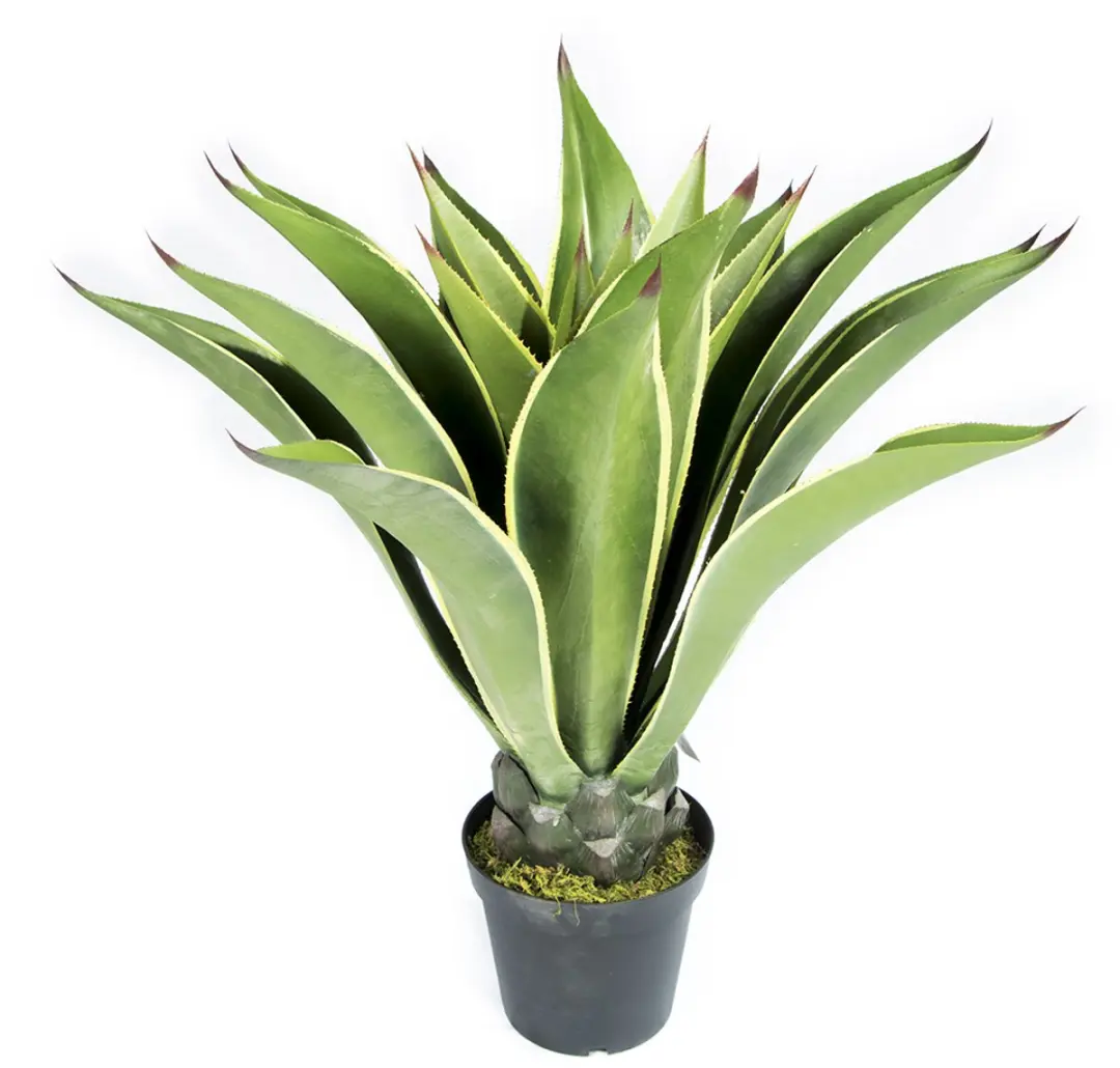 Intergard Kunstplant Agave 98cm