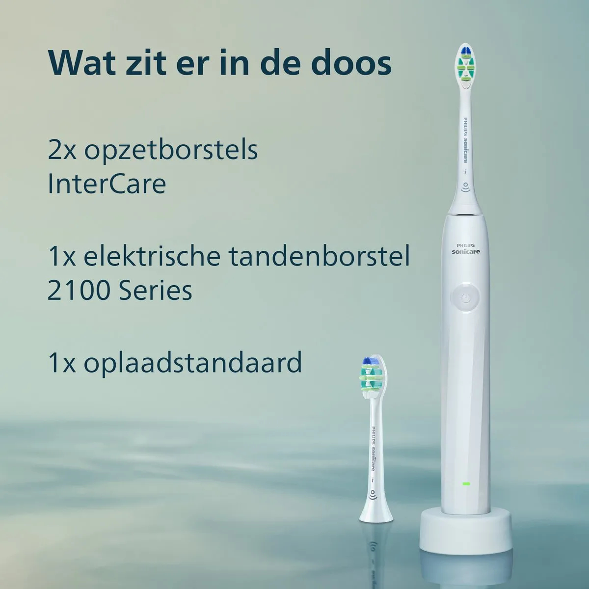 Philips Sonicare 2100 HX4022/01 Elektrische Tandenborstel - Wit