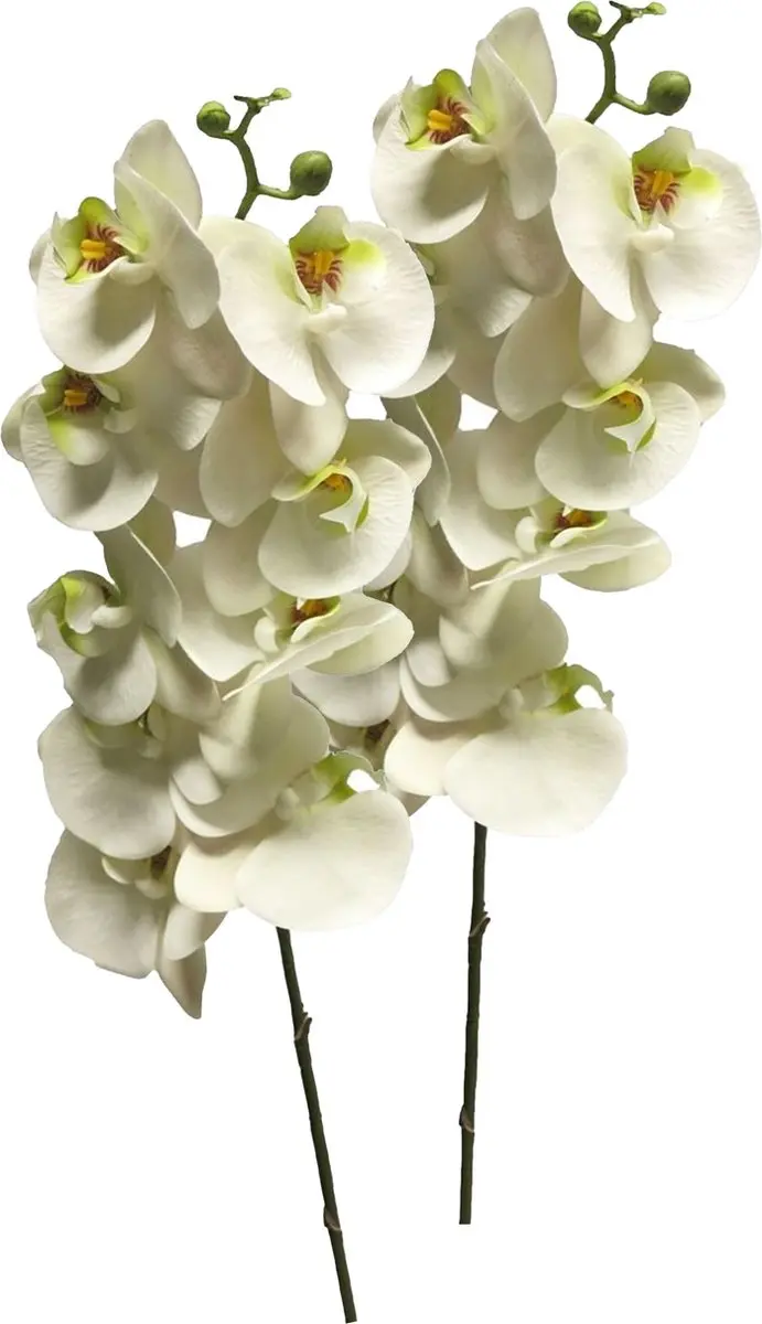 Bellatio Design Kunstbloem Orchidee Bora - 2x - wit - 108 cm - losse steel - kunst zijdebloem