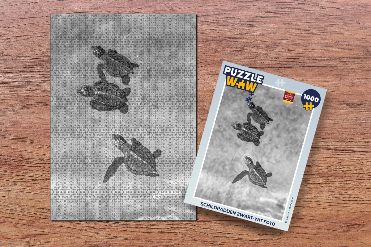 PuzzleWow Schildpadden Foto Legpuzzel 1000 Stuks - Multicolor