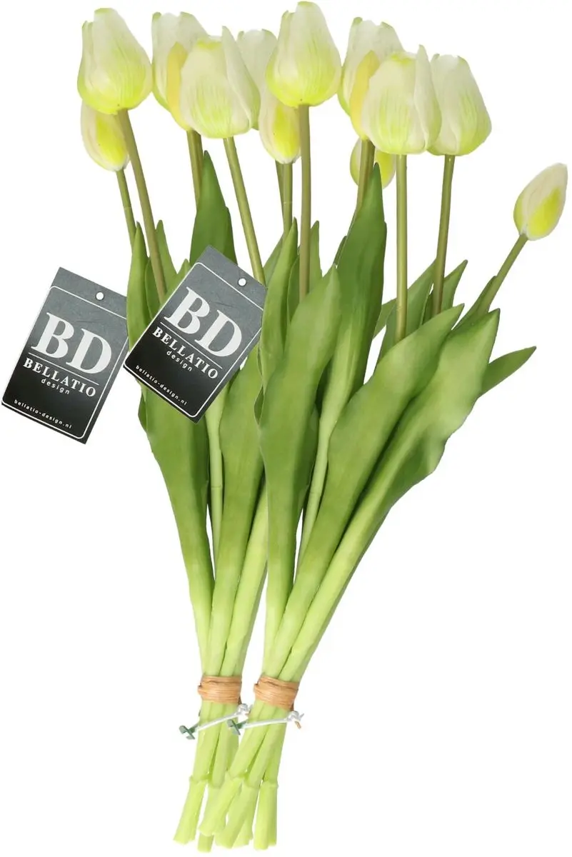 Bellatio Design Kunst tulpen boeket Sally