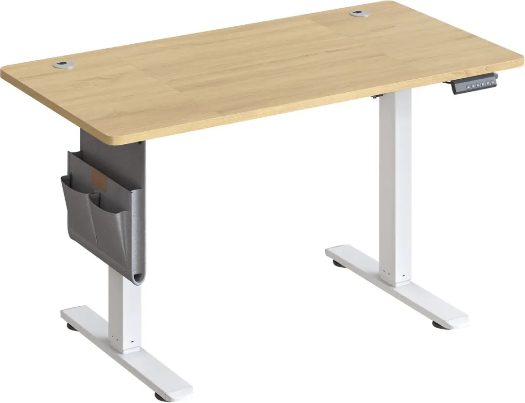 SONGMICS - In Hoogte Zit Sta Bureau - 120 x 60 cm - Met Memoryfunctie en USB-C Poort