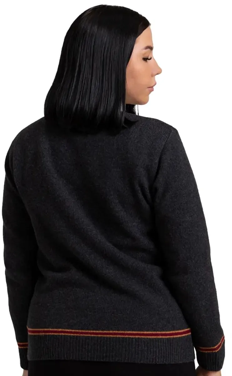 Harry Potter Lochaven Gryffindor V-Neck Sweater - Small - Multi