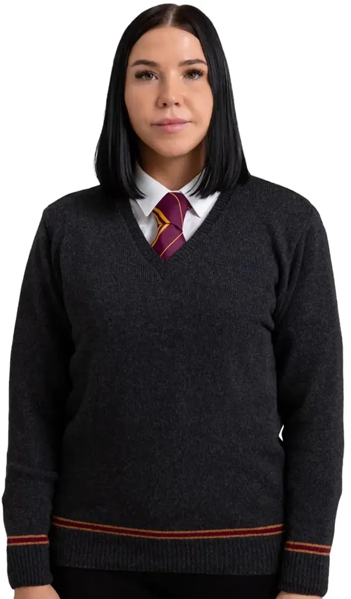 Harry Potter Lochaven Gryffindor V-Neck Sweater - Small - Multi