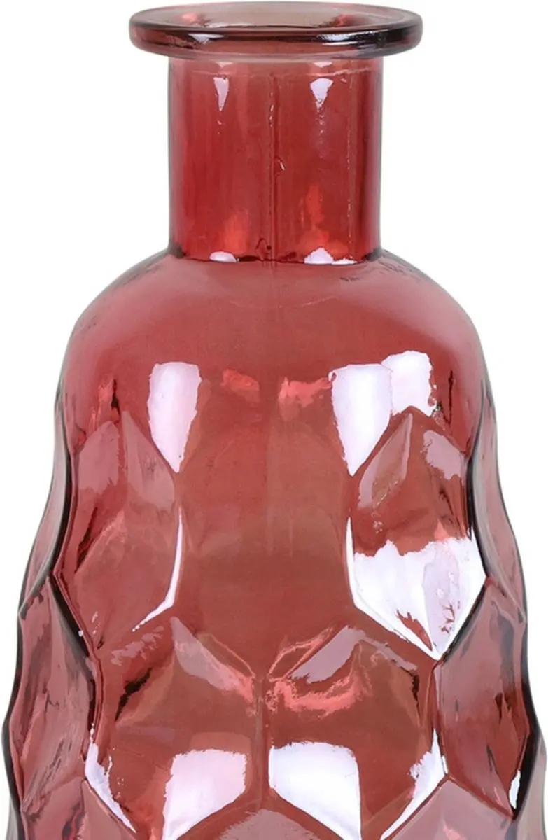 Countryfield Fles Karin Roze 3.1L - 6 Stuks - afbeelding 2 van 2