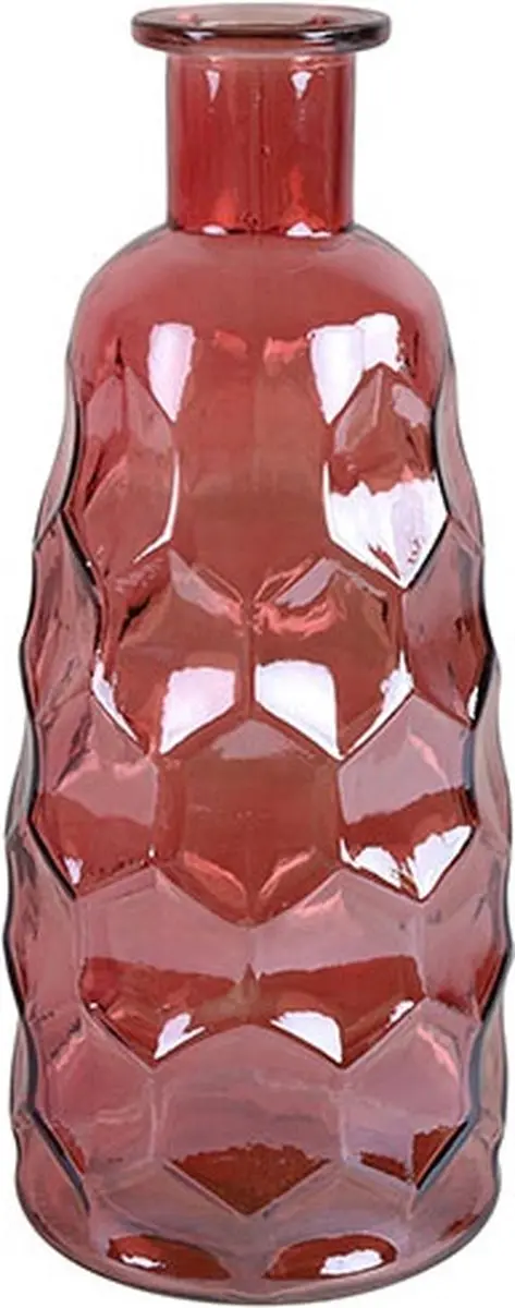 Countryfield Fles Karin Roze 3.1L