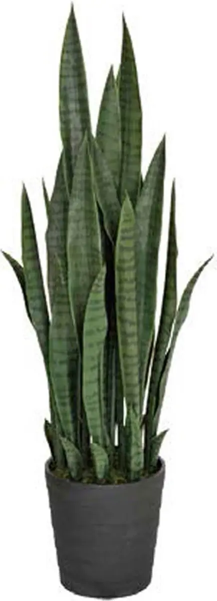 Intergard Kunstplanten Sansevieria vrouwentong 105cm groen