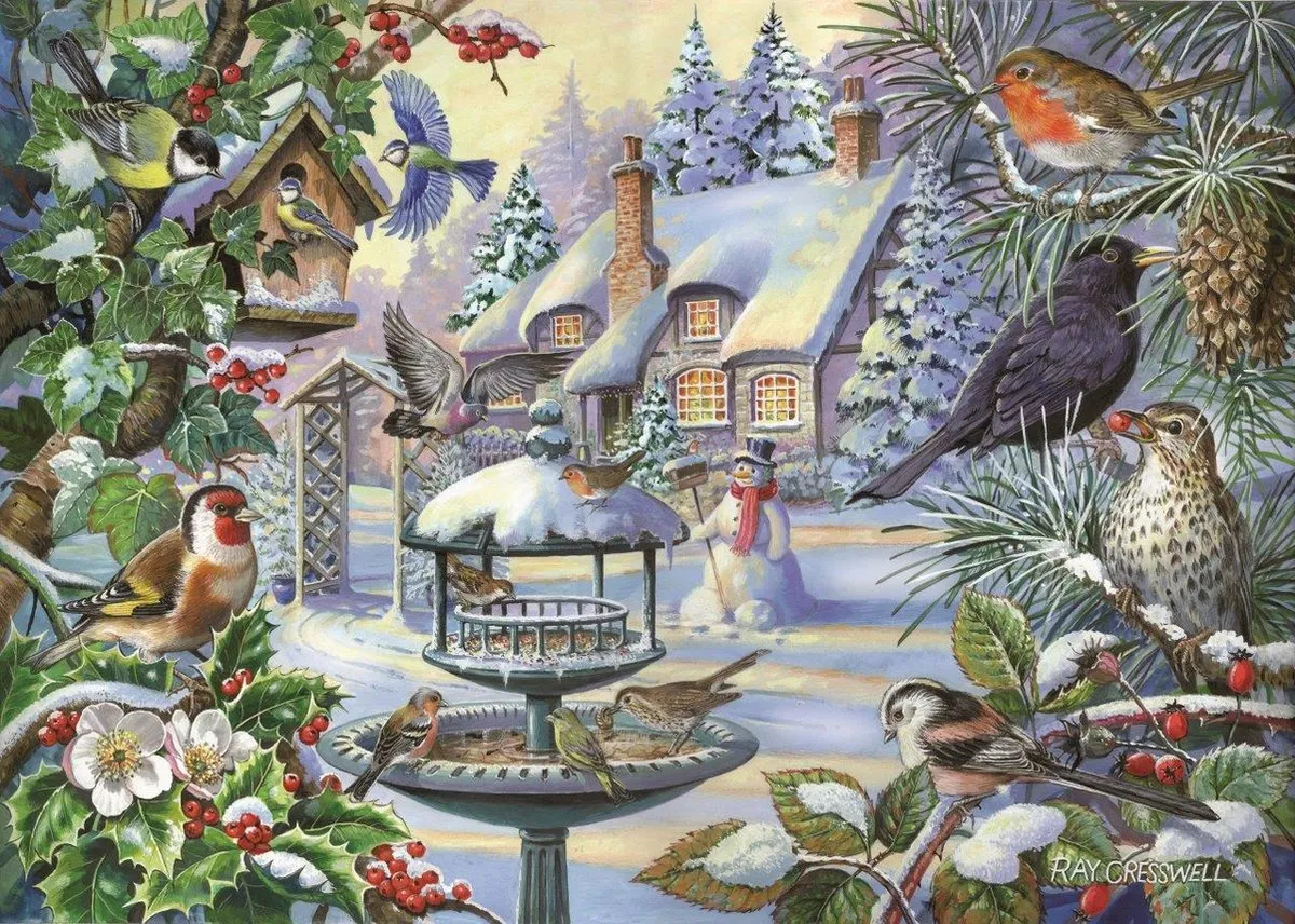 House of Puzzles Winter Birds Legpuzzel 500 Stuks HP0233
