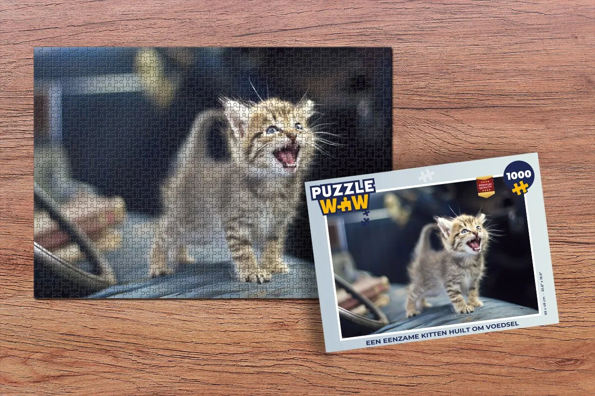 PuzzleWow Legpuzzel Een eenzame kitten huilt om voedsel 1000 Stuks - Multicolor