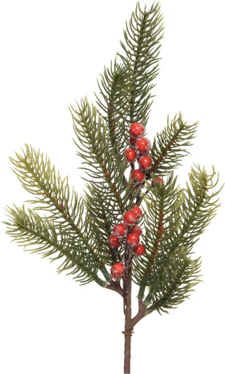 Decoris kersttak/dennentak