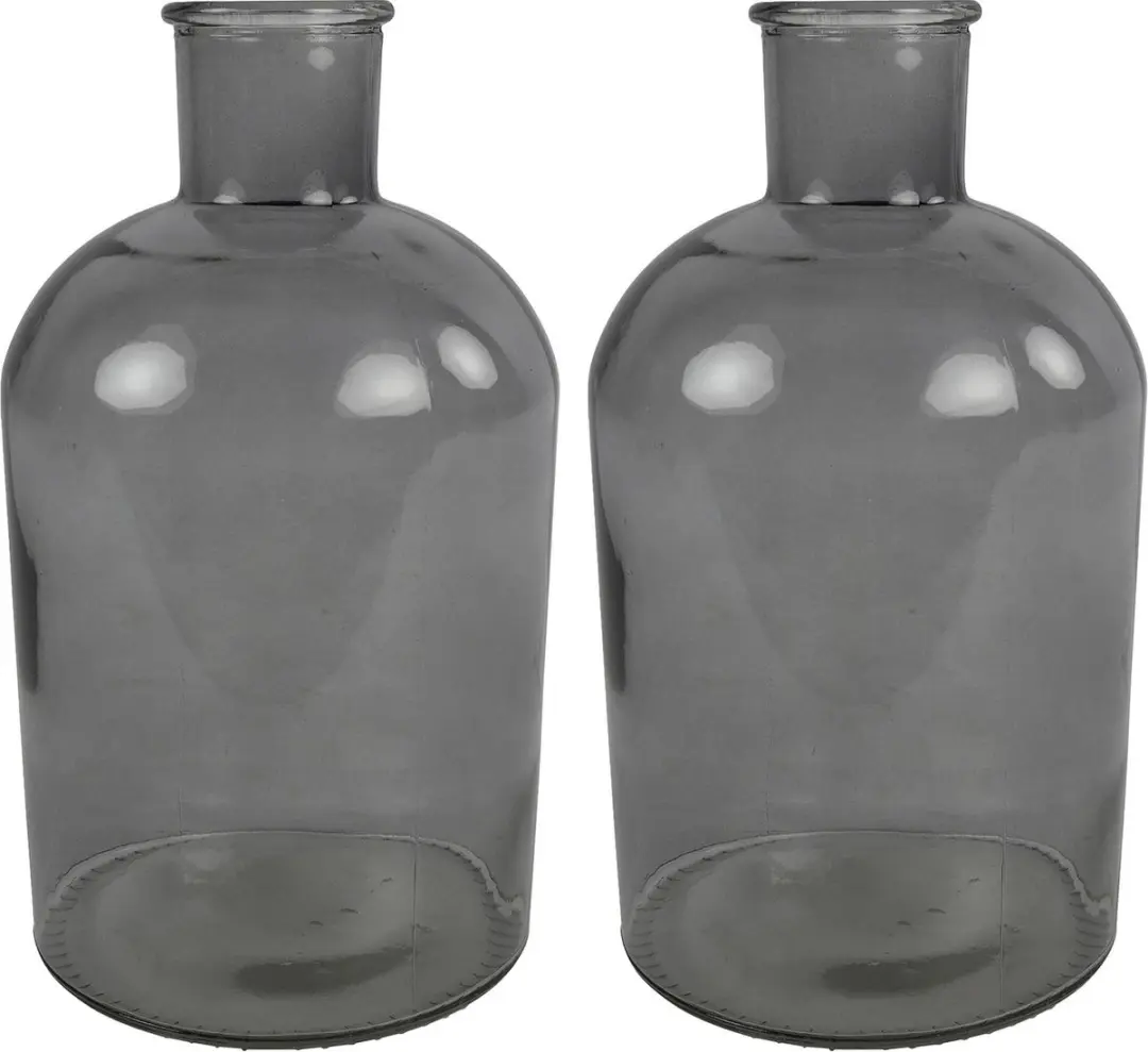 Countryfield bloemen/takken Vaas - 2x stuks - grijs glas - fles - D17 x H31 cm