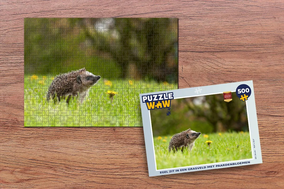 PuzzleWow Legpuzzel 500 Stuks - Multicolor
