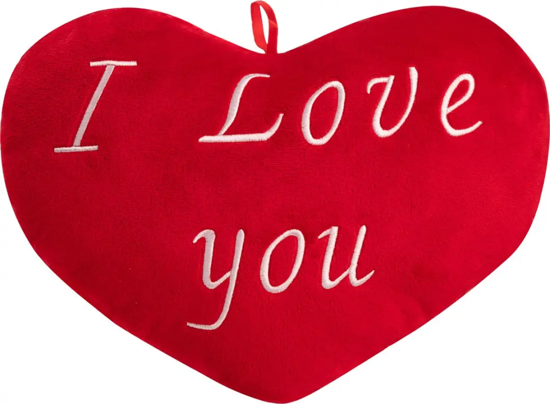 Valentijn- kussen- valentijnscadeau- kussen- I Love You- hartkussen-rood-sierkus