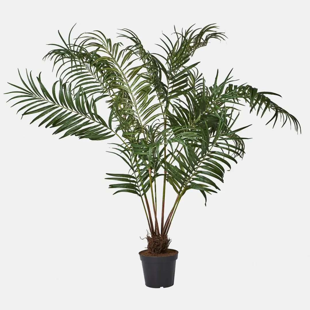Loberon Mersina Decoratieve Palmplant