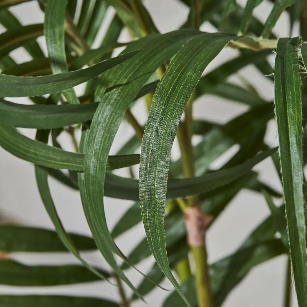 Loberon Mersina Decoratieve Palmplant - Groen - afbeelding 2 van 4
