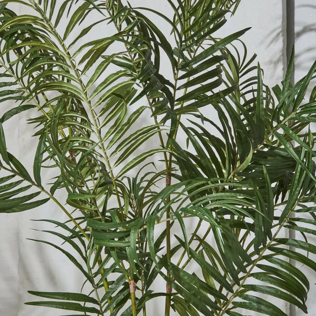 Loberon Mersina Decoratieve Palmplant - Groen - afbeelding 4 van 4