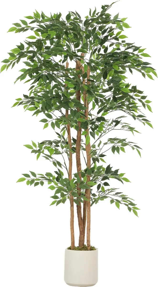 Homcom Artificial Plants-Kunststof-75L x 75B x 180H cm-Groen