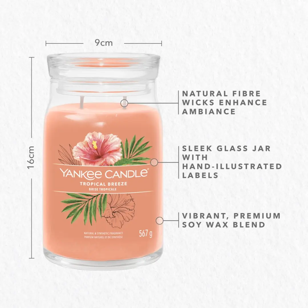 Yankee Candle Tropical Breeze Geurkaars - 90 Branduren - afbeelding 5 van 6