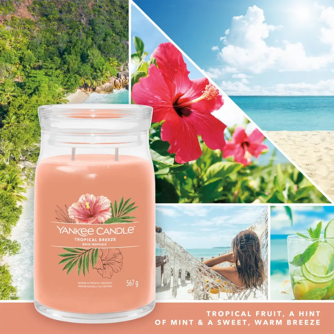 Yankee Candle Tropical Breeze Geurkaars - 90 Branduren - afbeelding 4 van 6