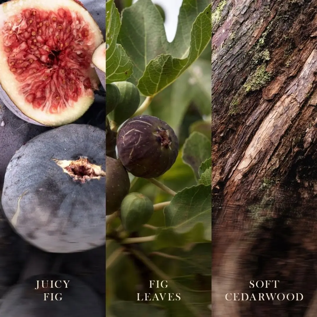 WoodWick Verdant Fig Ellipse Geurkaars - 50 Branduren - afbeelding 3 van 5