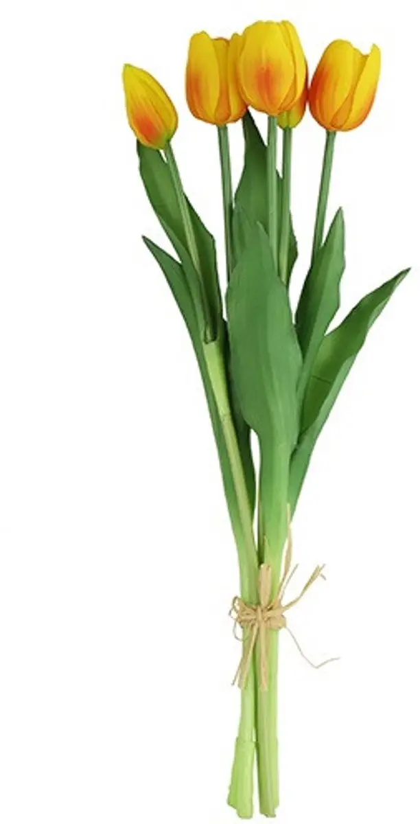 Countryfield Tulipa Boeket