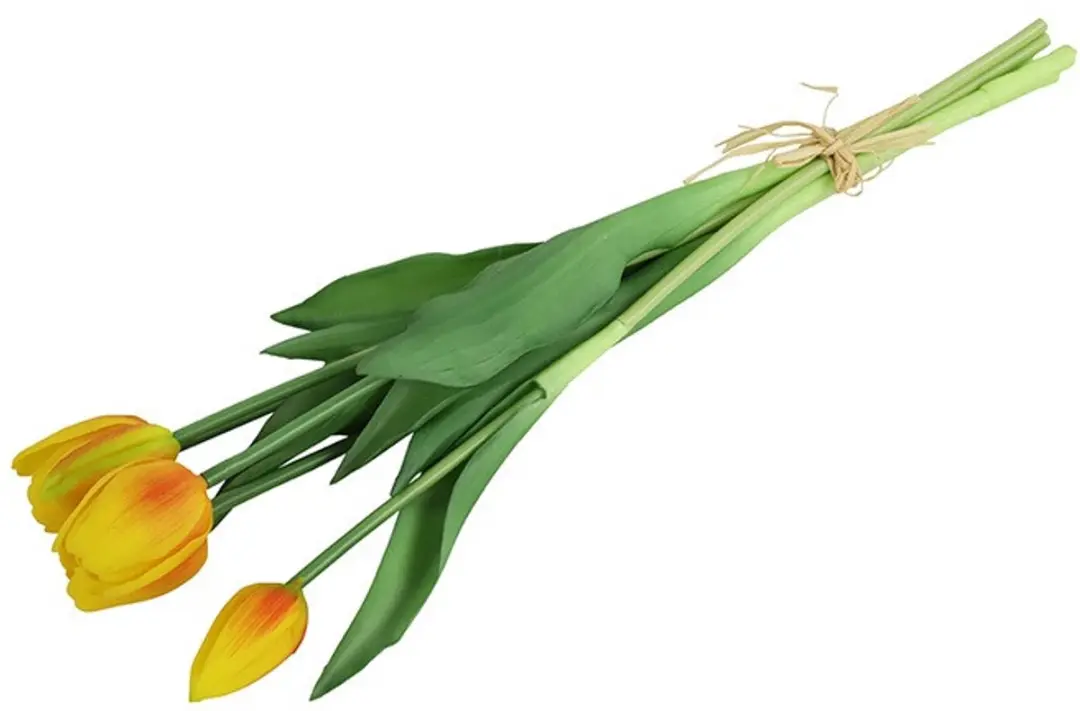Countryfield Tulipa Boeket - 5 Stuks - afbeelding 2 van 3