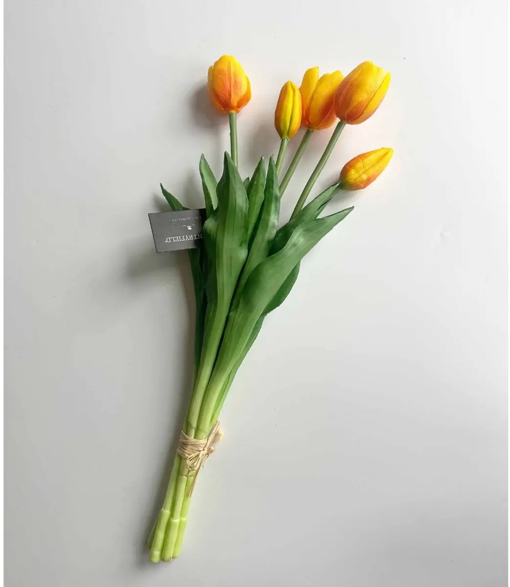 Countryfield Tulipa Boeket - 5 Stuks - afbeelding 3 van 3