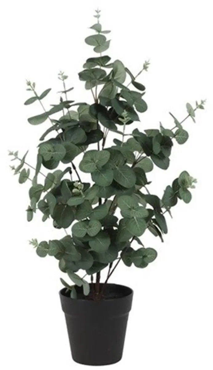 Countryfield Kunstplant Eucalyptus Groen 65 cm