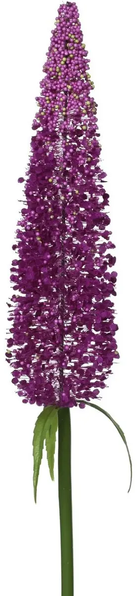 Everlands Vlinderstruik Violet Ø 7 cm 79 cm