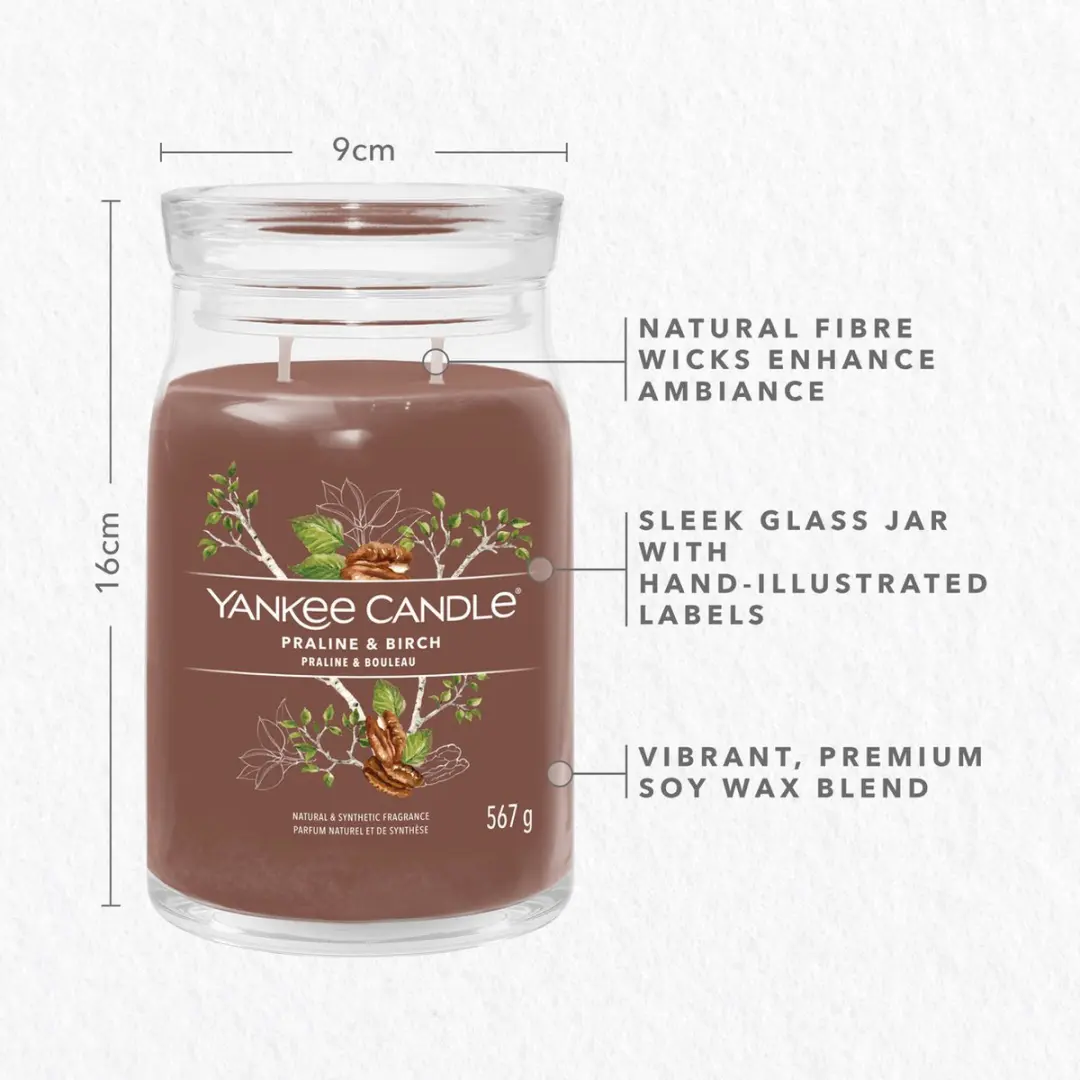 Yankee Candle Praline & Birch Geurkaars - 90 Branduren - afbeelding 4 van 6