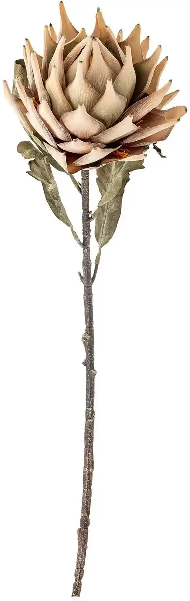 Bloomingville Kunstbloem Protea nature 76cm